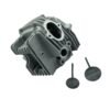 Kriss / Kriss 110 Racing Cylinder Head – Shark Performance